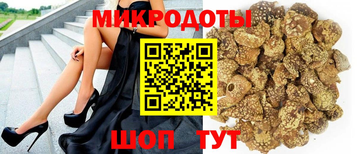 Ессентуки  хочу   Вход с VPN  Псилоцибиновые грибы Psilocybe 