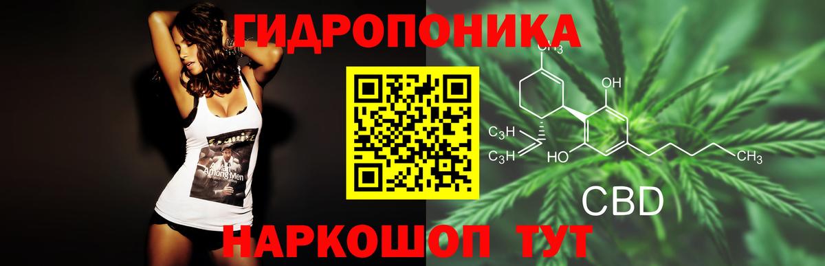 Шишки марихуана THC 21% Ессентуки
